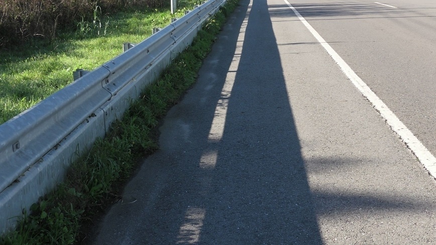 Estrada