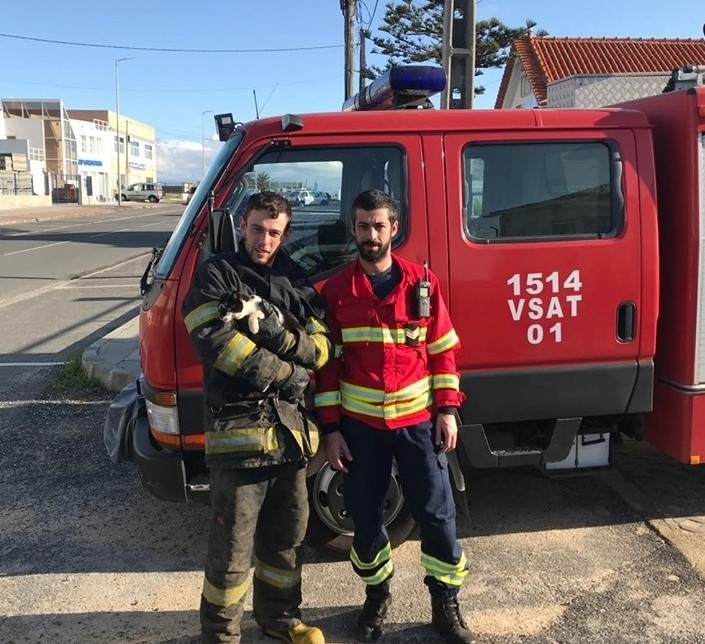 Resgate de gato - Bombeiros de Sines