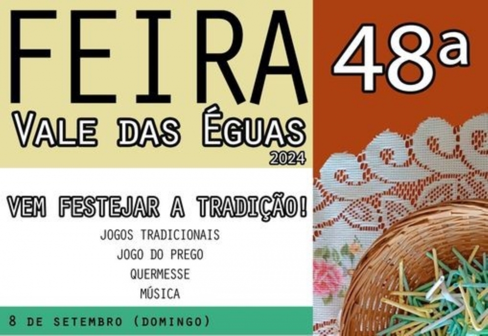 Dora Moreira - Organização