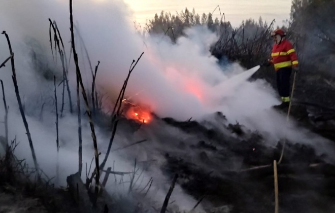 Incêndio consumiu área de mato e canavial em Almograve, Odemira