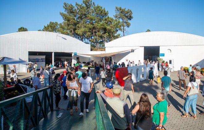 FACECO – o grande certame de Odemira acontece nos dias 22, 23 e 24 de julho