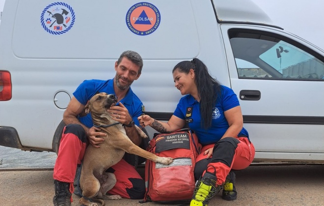 Cão envenenado conseguiu sobreviver em Sines