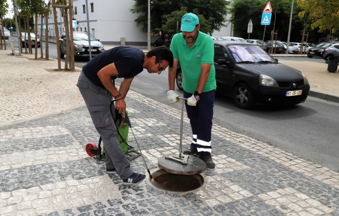 Município de Grândola reforça campanha de desbaratização e desratização em todo o concelho
