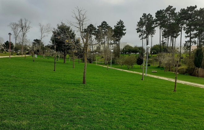 Parque Central em Vila Nova de Santo André está a receber novo relvado
