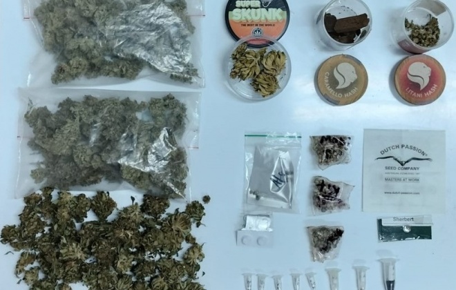 GNR deteve um homem em Sabóia por tráfico e cultivo de estupefacientes