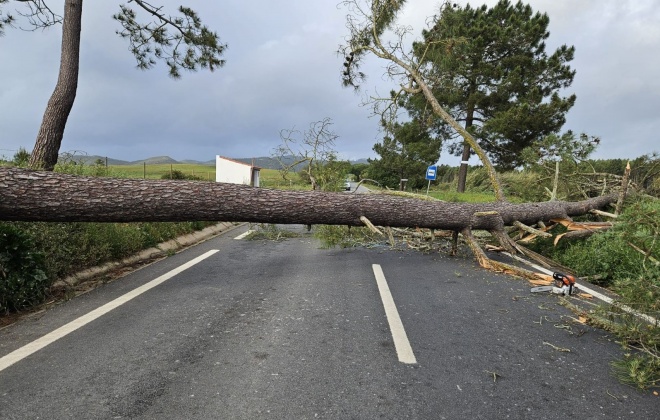 Trânsito reabriu na Estrada Nacional 390 entre Cercal do Alentejo e Vila Nova de Milfontes