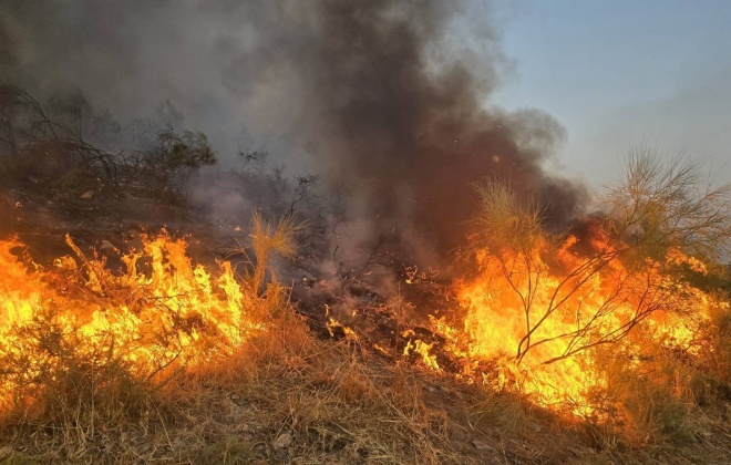 Bombeiros do Alentejo Litoral combatem incêndio em Montemor-o-Novo