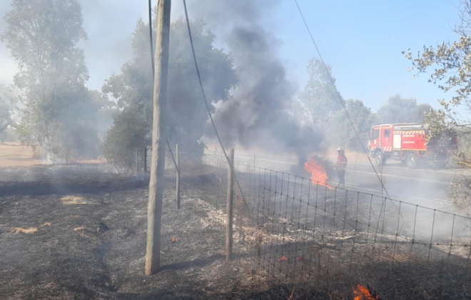 Bombeiros combateram incêndio junto do IC1 em Alvalade