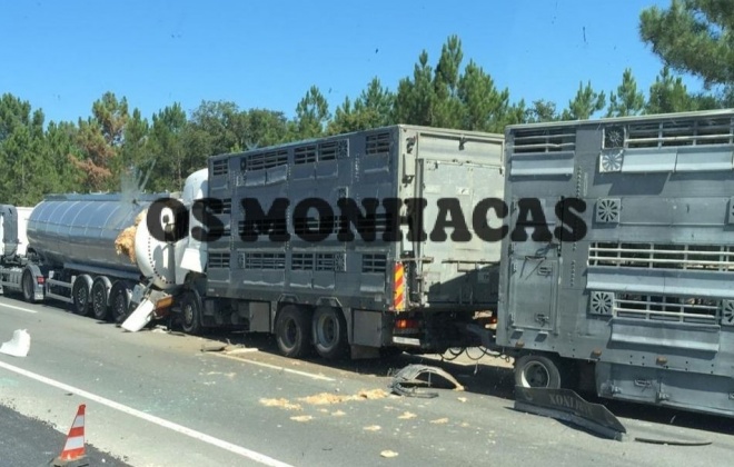 Colisão entre dois pesados e um ligeiro provocou três feridos no IC33 em Santiago do Cacém