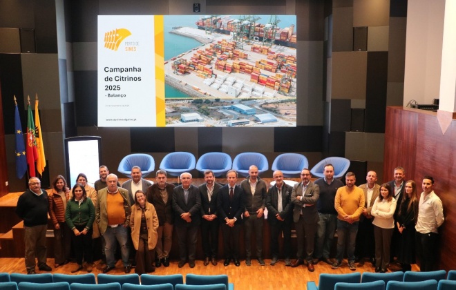 Porto de Sines terminou a campanha de importação de citrinos 2025 com um aumento de 7,4%