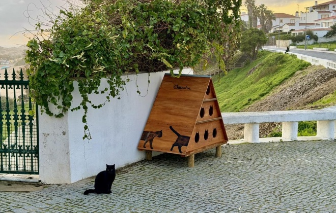 Vila Nova de Milfontes recebeu sete abrigos para gatos