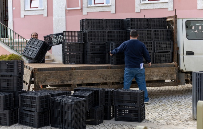 Novos contentores vão ajudar a salvar material arqueológico em Alcácer do Sal