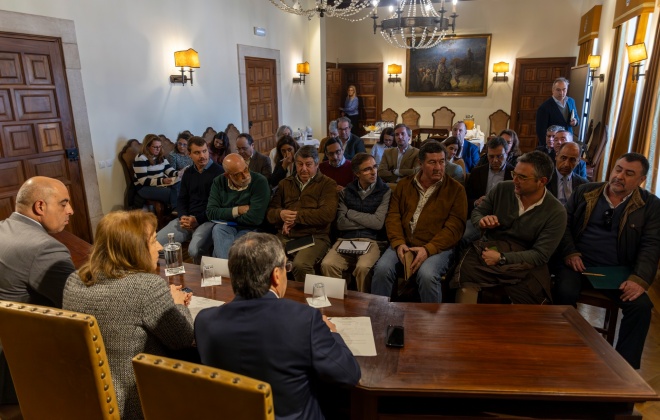 Mau tempo causou prejuízos de 30 milhões de euros em Alcácer do Sal