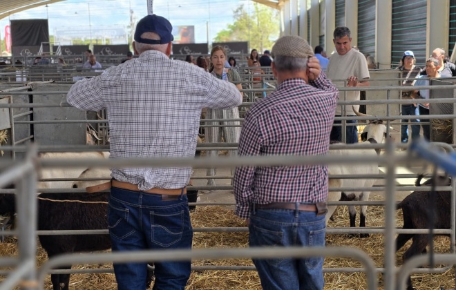 Mickael Carreira e Jorge Guerreiro atuam na Feira de Garvão de 8 a 10 de maio