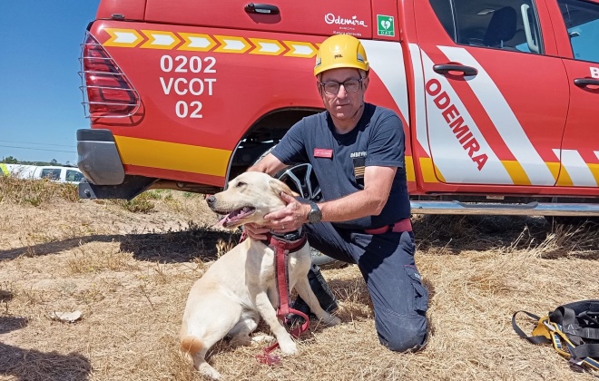 Bombeiros de Odemira efetuaram um resgate animal em Vila Nova de Milfontes