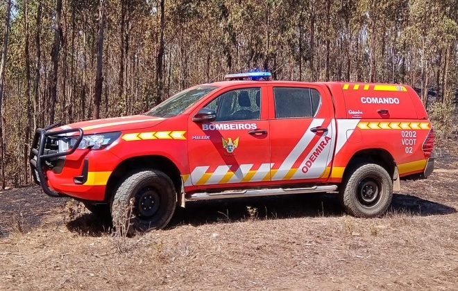 Incêndio consumiu uma área de mato e floresta na freguesia de São Teotónio