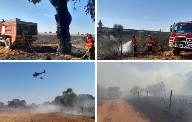 Incêndio consumiu área de pasto e mato em Alvalade no concelho de Santiago do Cacém