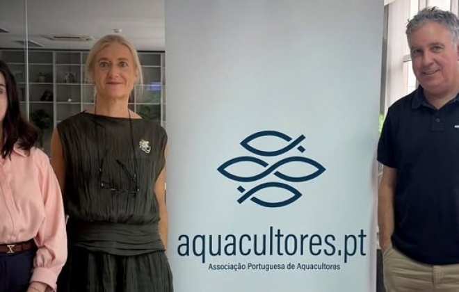 Aicep Global Parques e Associação Portuguesa de Aquacultores avaliam investimentos na ZILS